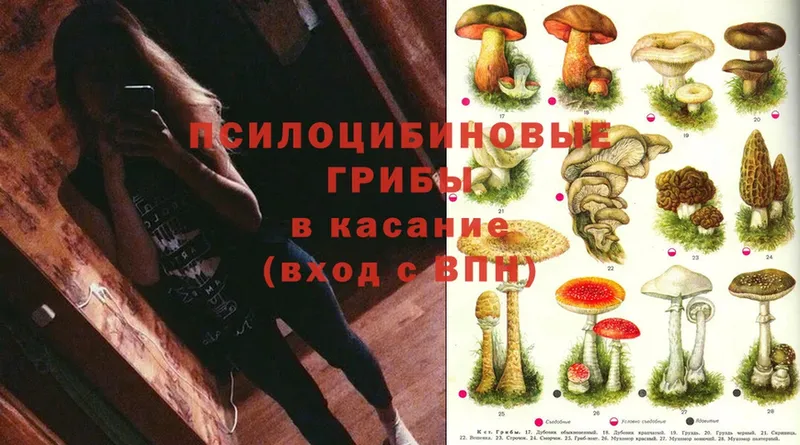 Галлюциногенные грибы MAGIC MUSHROOMS  Дагестанские Огни 